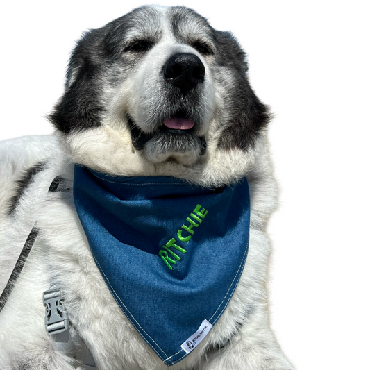 Personalized Denim Bandana