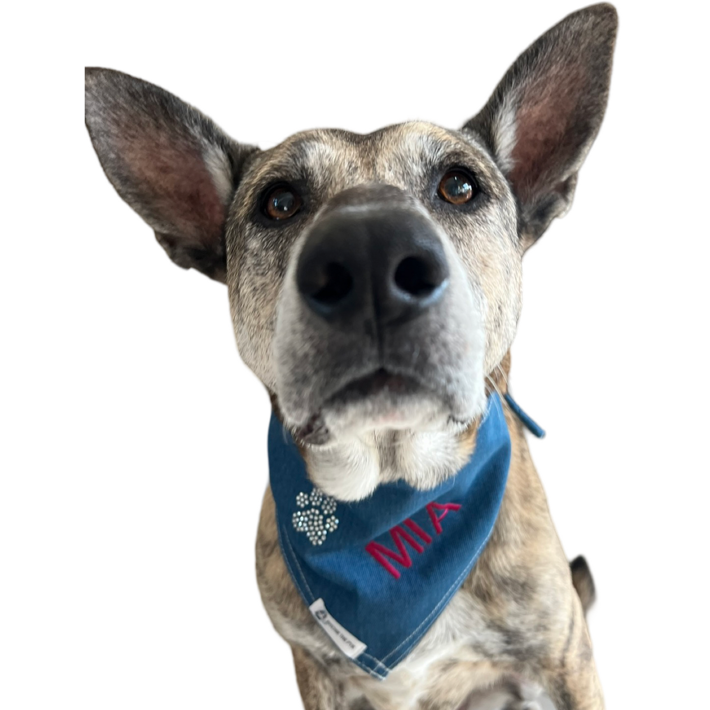 Paw Print Personalized Dog Bandana