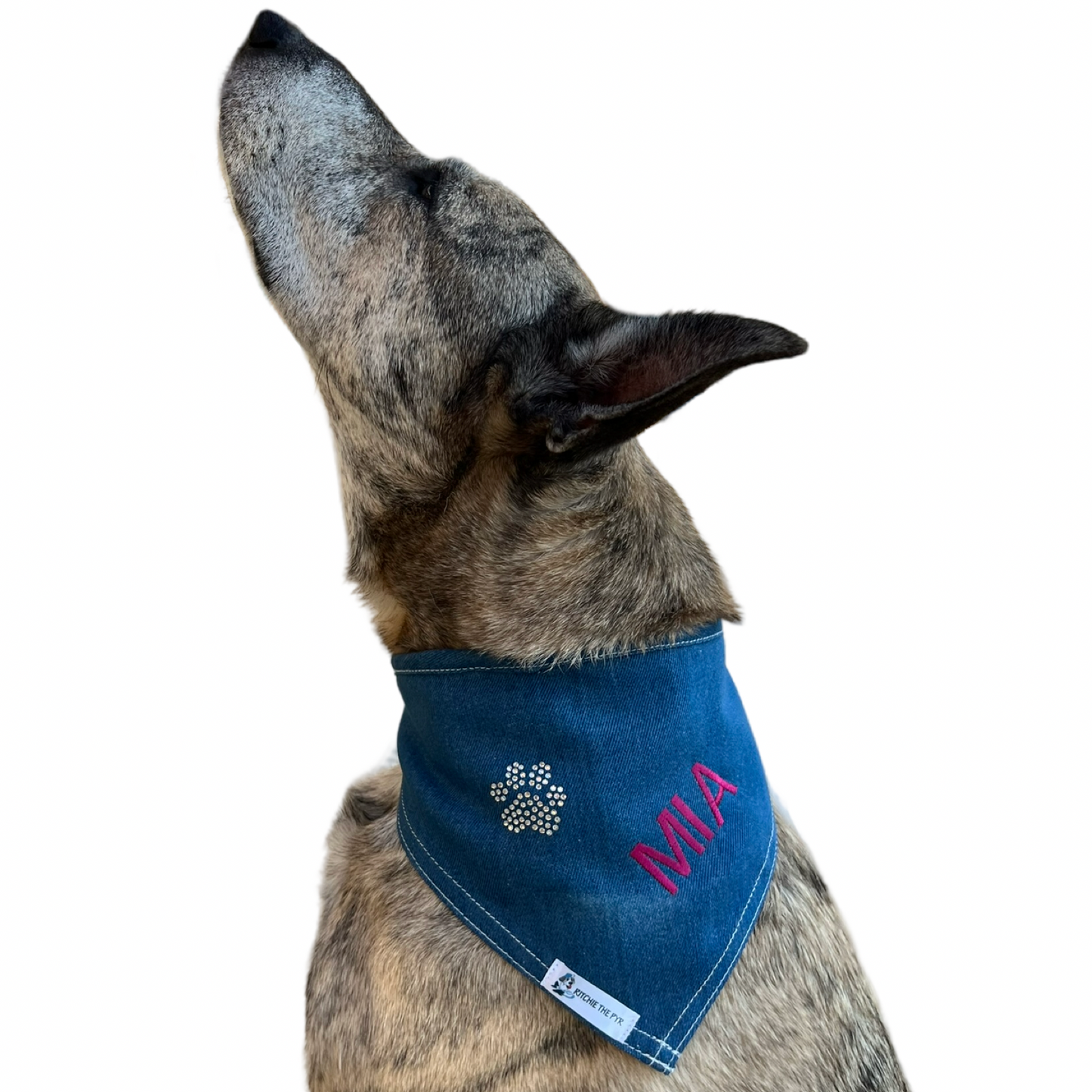 Paw Print Personalized Dog Bandana