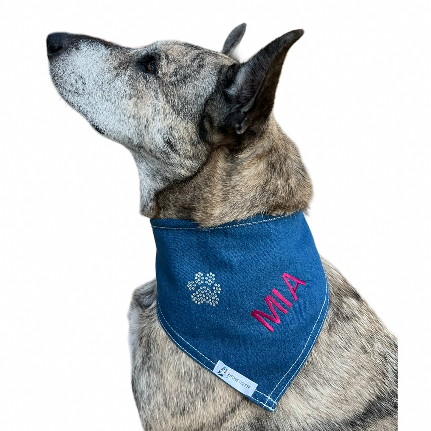 Paw Print Personalized Dog Bandana