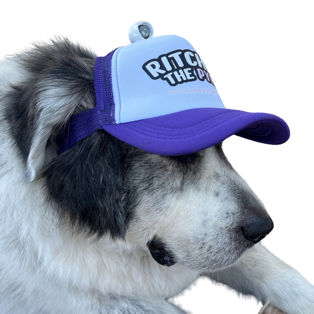 Dog Hat Large Breed Flashlight