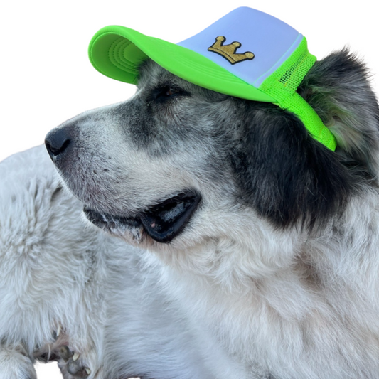 Dog Hat Large Breed Crown Patch