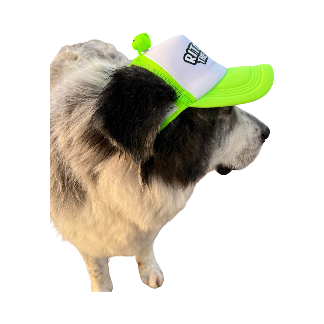 Dog Hat Large Breed Flashlight