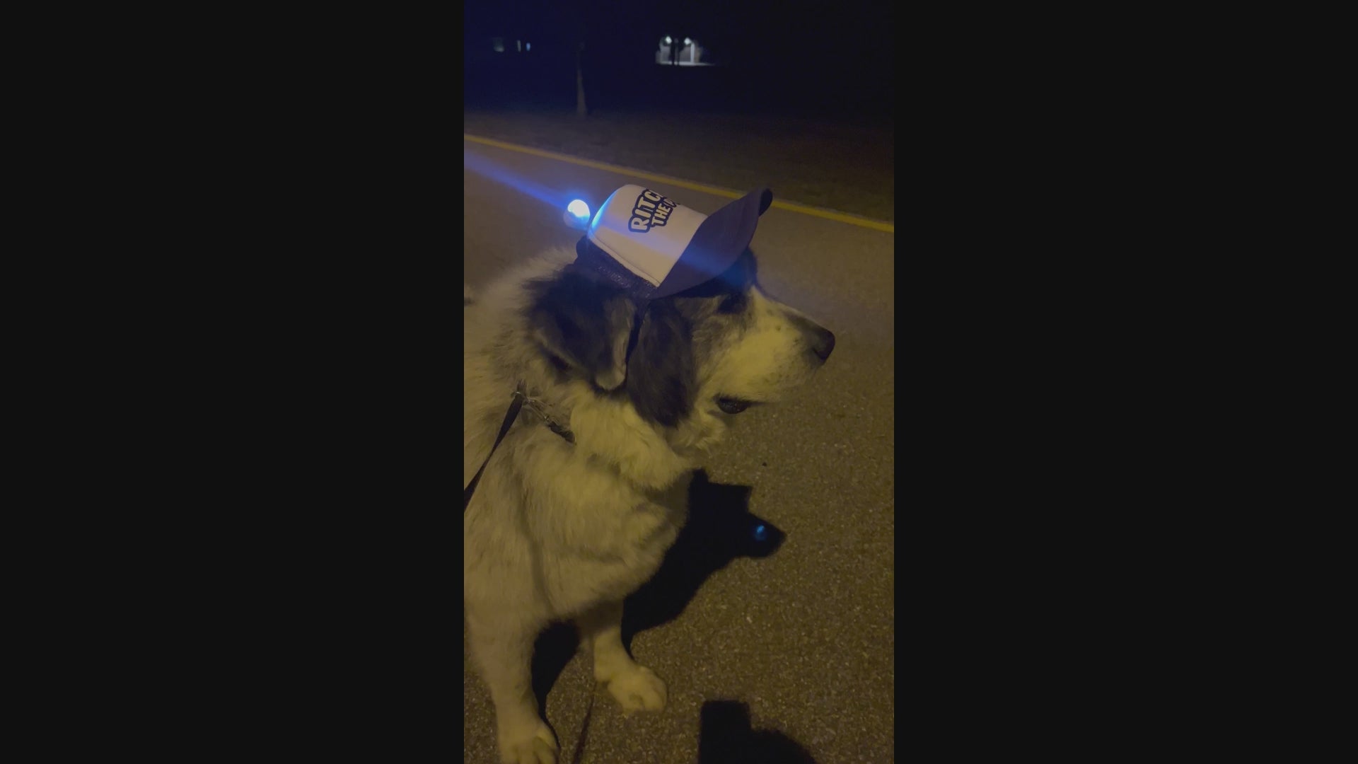 For safer walks at night.