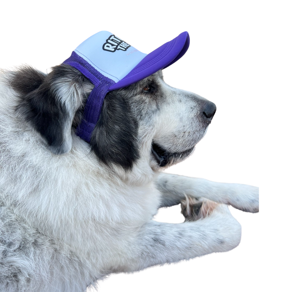 LOGO Dog Hat Large Breed